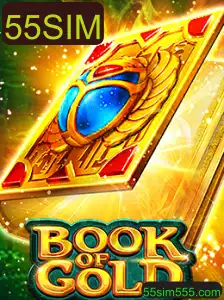 Explorando o Fascinante Jogo 'BookofGold' e sua Palavra-chave Misteriosa '55SIM'
