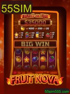 Descubra o Mundo de FruitNova: Um Jogo Empolgante com Ação Frutífera