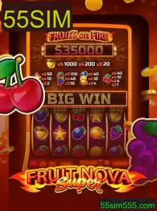 Descubra o Novo Jogo Captivante: FruitNovaSuper e a Excitante Palavra-Chave 55SIM